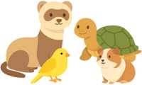小さなペットちゃんイメージ