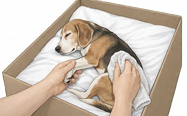 体をきれいにする