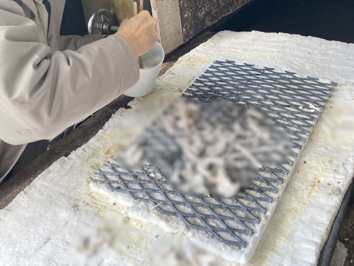 広島市で怪我や病気に負けず、19年間生きた猫ちゃんをお見送りしました