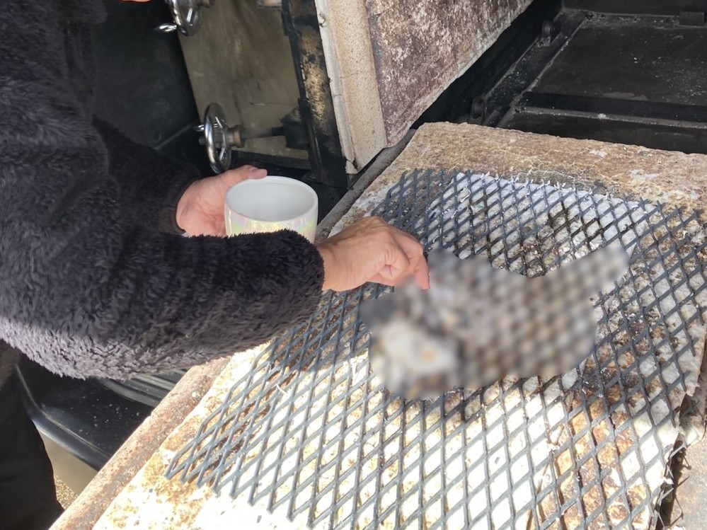 「呉市で27年間一緒に過ごした猫ちゃんの旅立ちをお手伝いしました」写真